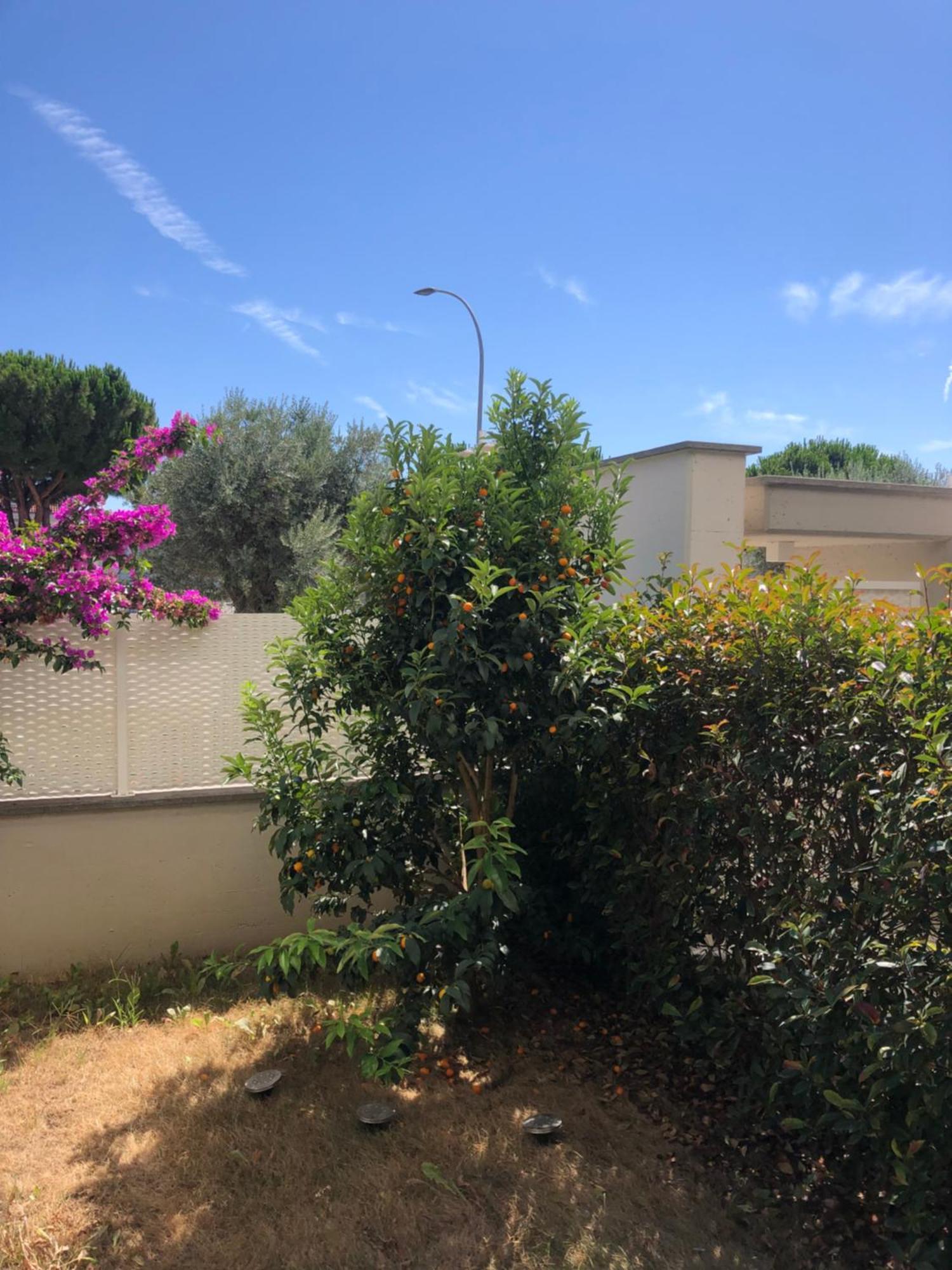 Apartamento Casa Sprint *