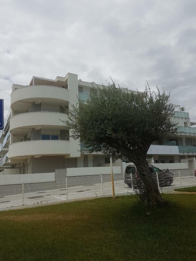Casa Sprint
