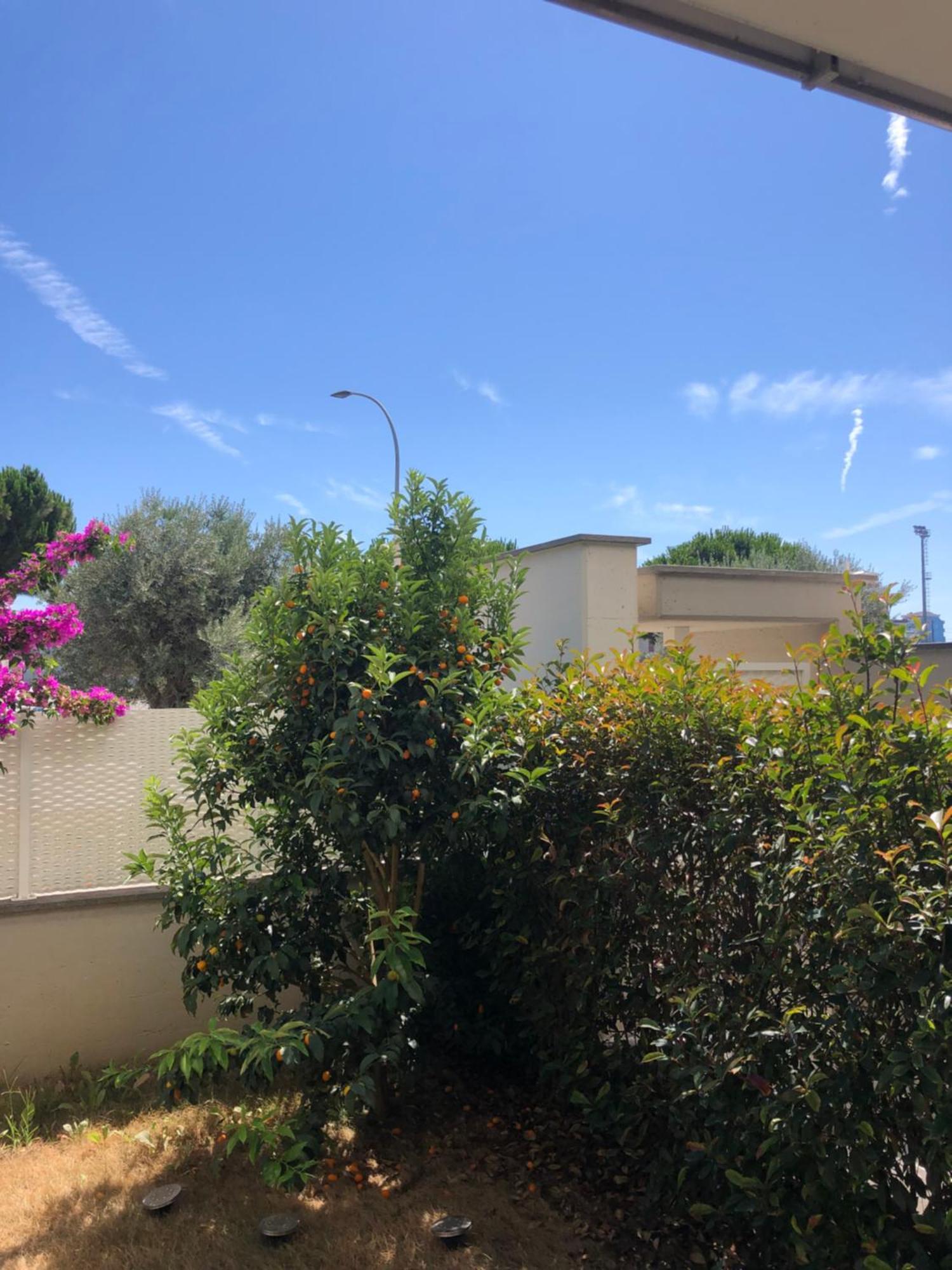 Apartment Casa Sprint San Benedetto del Tronto